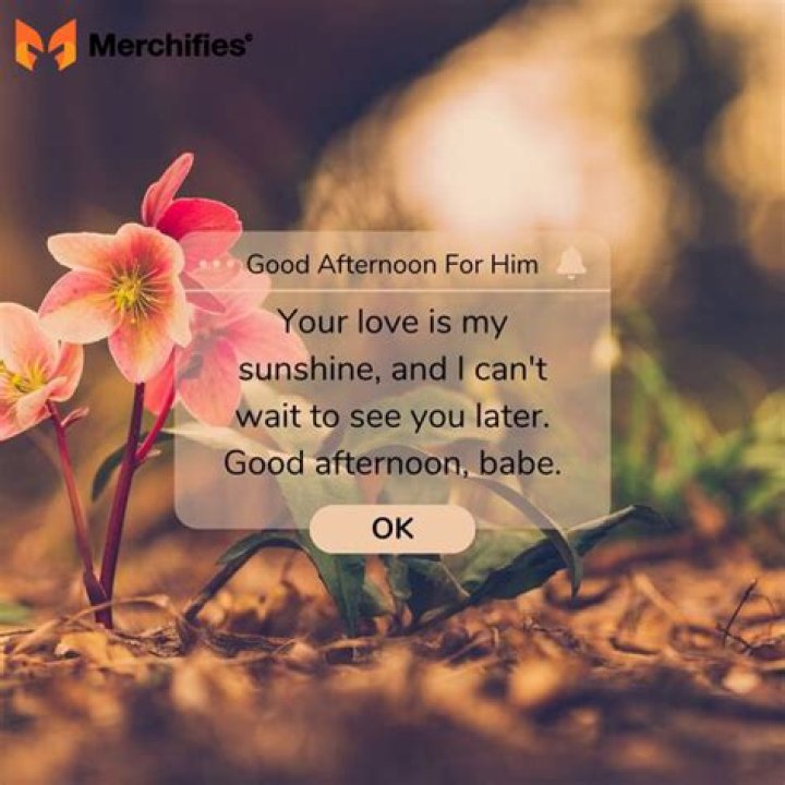 A Romantic Good Afternoon Love Message To Brighten Your Day