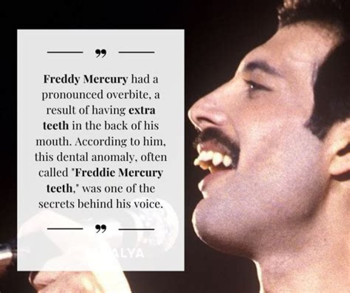 Did Rock Legend Freddie Mercury Have Children? Explore The Truth Behind The Icon's Legacy