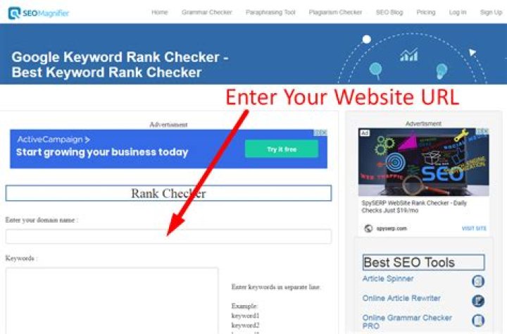 Easy Google Rank Keyword Check: Optimize Your Site Today