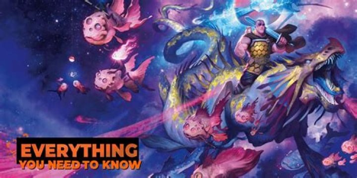 Everything You Need To Know About Dry Begging