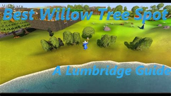 Grow Your Own Willow Sapling: The Ultimate OSRS Guide