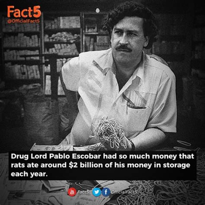 How Much Money Did Pablo Escobar Make Daily: A Staggering Figure