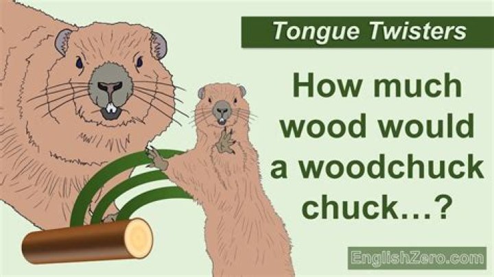 How Much Wood Would A Woodchuck Chuck If A Woodchuck Could Chuck Wood?