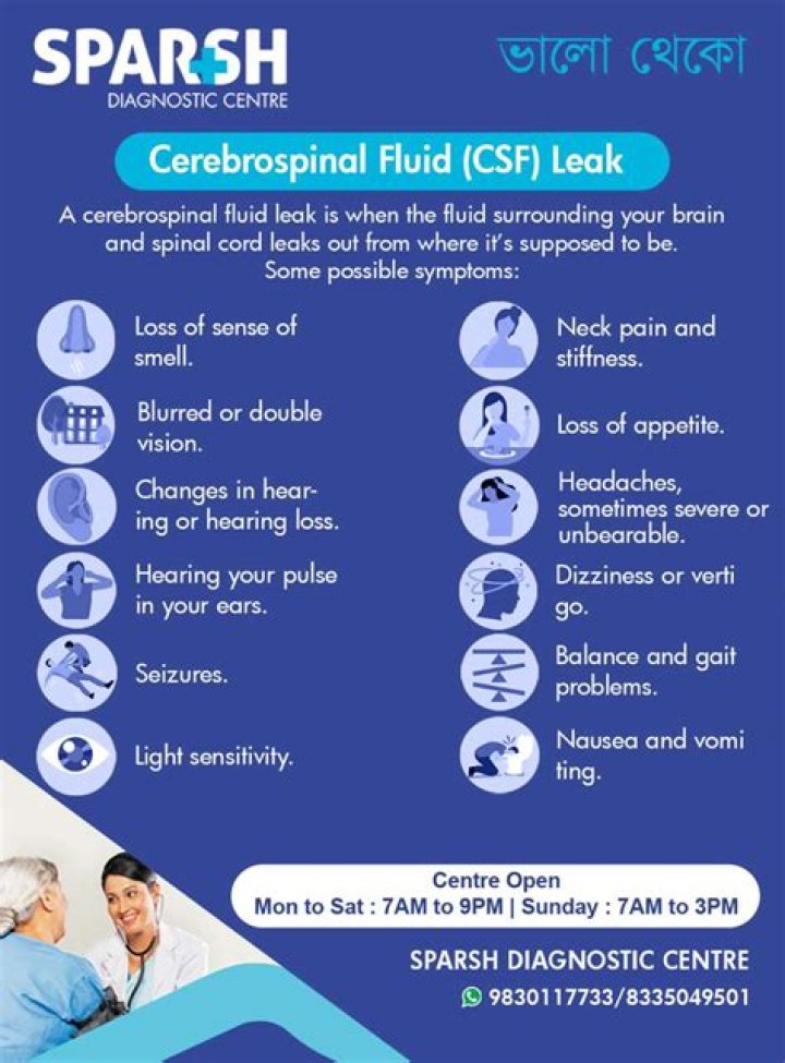 How They Can Leak Into Your Brain