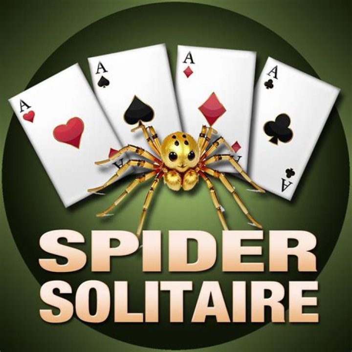 Immersive Spider Solitaire: Full Screen Adventure