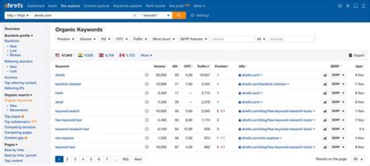 Powerful Rank Checker API: Enhance Your SEO Strategy