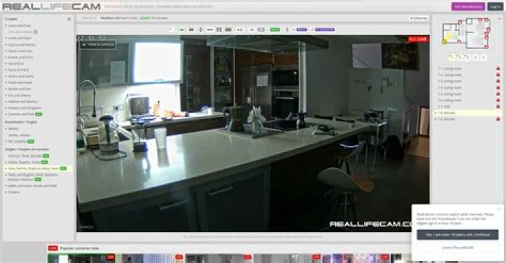 Reliable RealLifeCam: 24/7 Uninterrupted Live Broadcasts