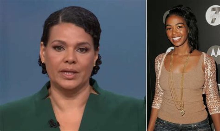 Sara Sidner's Height And Weight Revealed