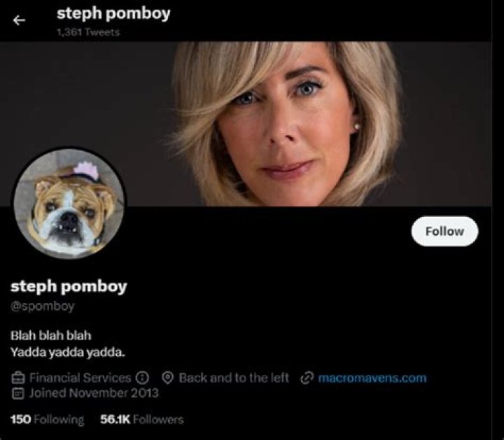 Stephanie Pomboy Husband Is She Married? Net Worth Parents And Twitter