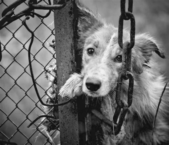 The Downfall Of Michael And Marilyn Gladstein: Sentenced To Prison