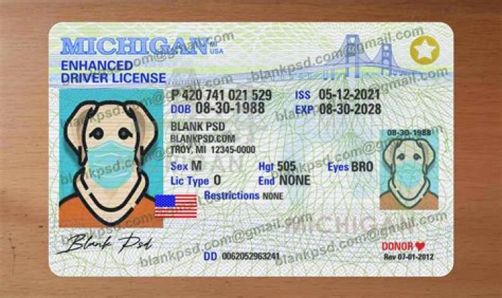 The Easy Way To Locate Your Driver's License Number