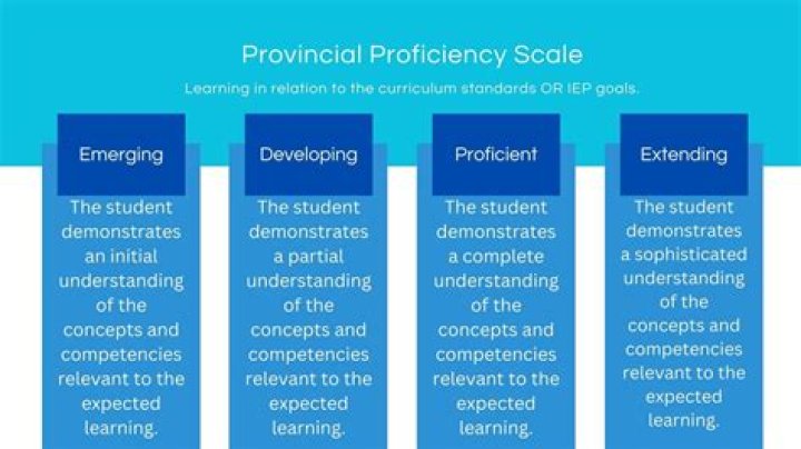 The Essential Guide To Proficiency For Professionals