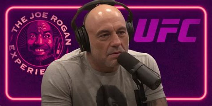 The Significant Partner Of Joe Rogan: A Comprehensive Guide