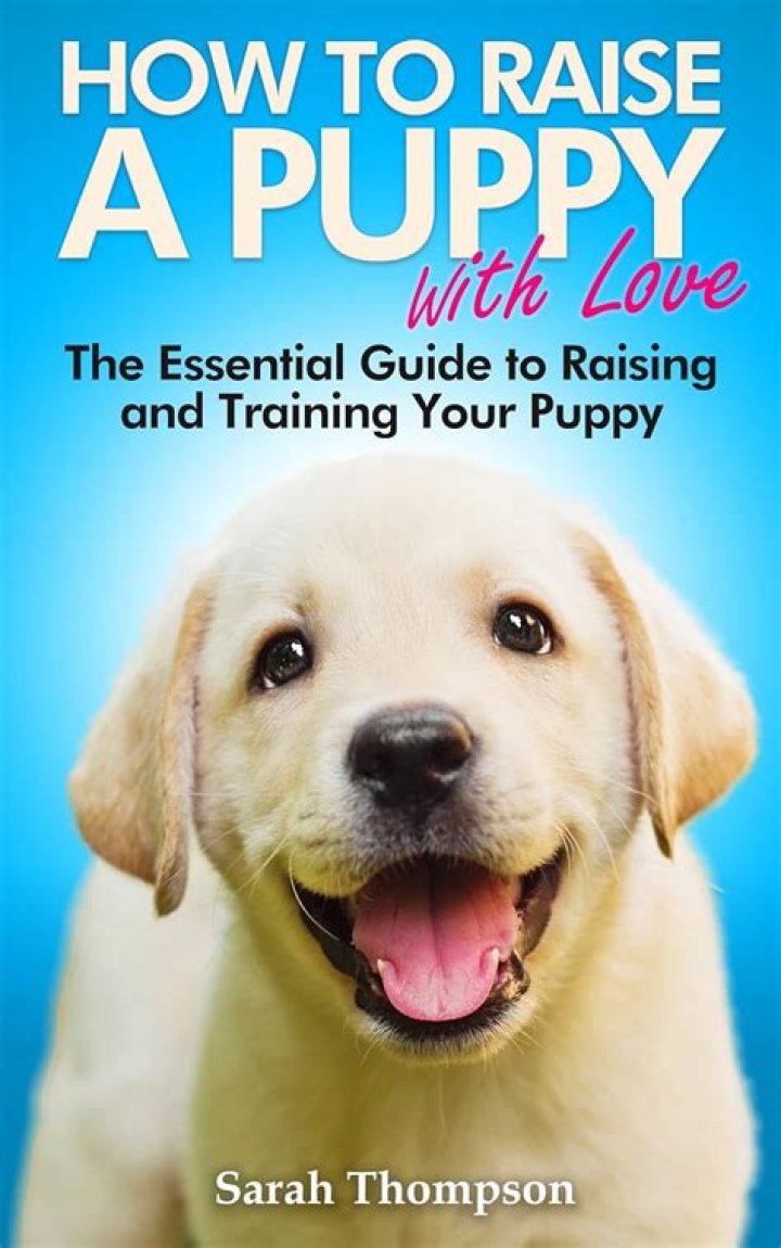 The Ultimate Guide To Raising And Training A Puppy For Ages 0-3