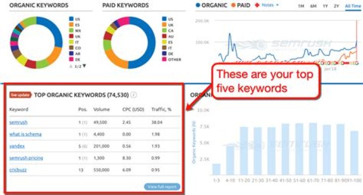 The Ultimate Guide: Top-Rated Google Keyword Rank Monitors