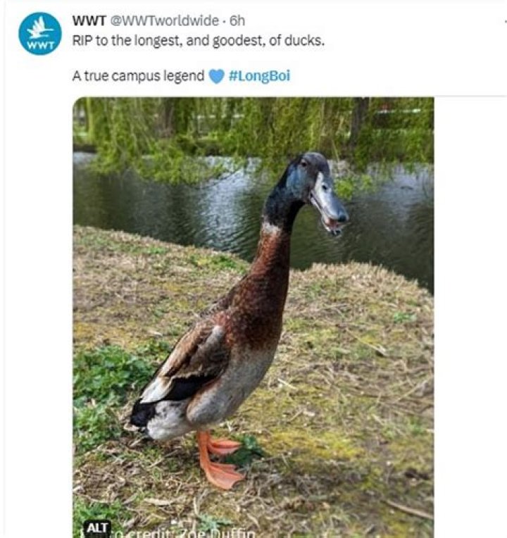 Tragic Loss: Beloved "Duck Dynasty" Star Passes Away