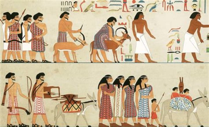 Uncovering The Wealth Of The Egyptian Actress