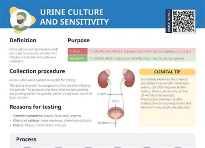 Understanding Urine Culture With Normal Skin Flora: Implications For Treatment