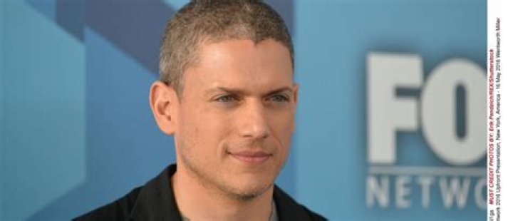 Wentworth Miller's Son: Uncovering The Hidden Truth