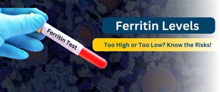 What A High Ferritin Level Indicates
