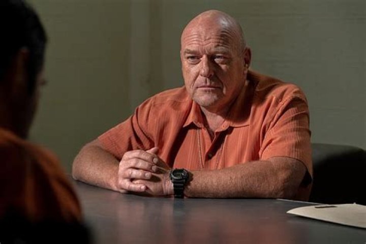 Who Is The Talented Actor Behind The Iconic Role Of Hank Schrader?