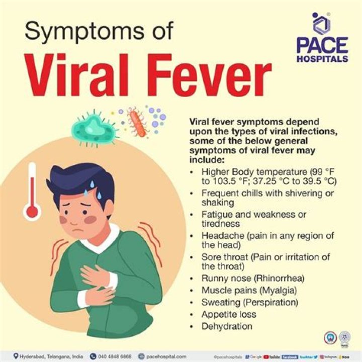 Your Guide To The Viral Sensation